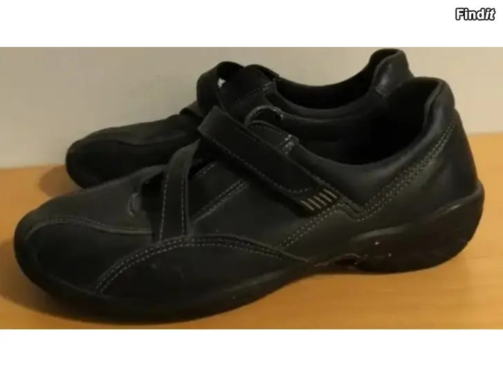 Myydään Puu koira Martti Vainio kissa pikku kui