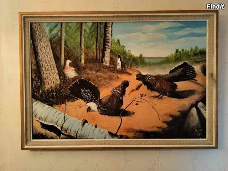 Myydään Taistelevat Metsot