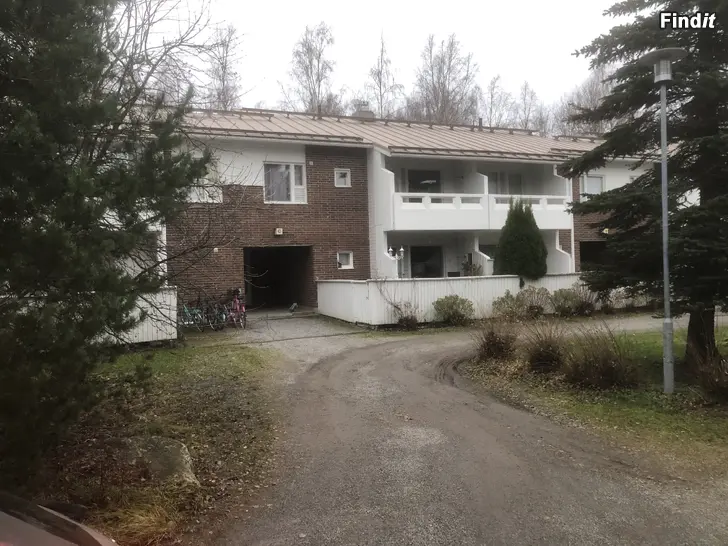 Vuokrataan Vuokrataan remontoitu saunallinen 2H+keittiö rauhallisessa pienkerrostalossa Gerbyssä