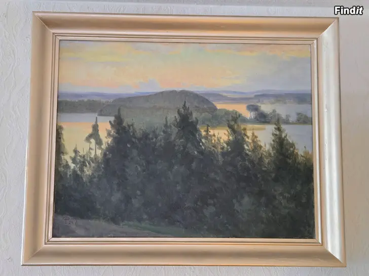 Myydään Carl Johan Danielson