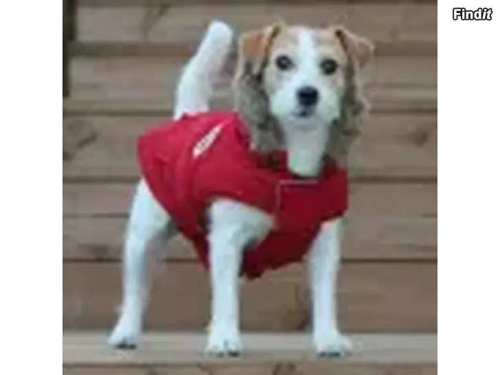 Myydään Vinterrock för hund/katt
