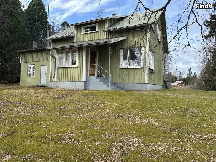 Myydään 4H+k+kph   Raippaluoto