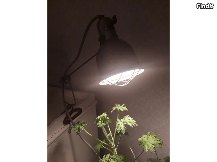 Säljes Vanha teollisuusvalaisin