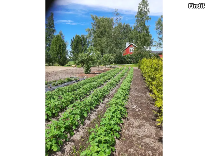 Myydään MATJORD
