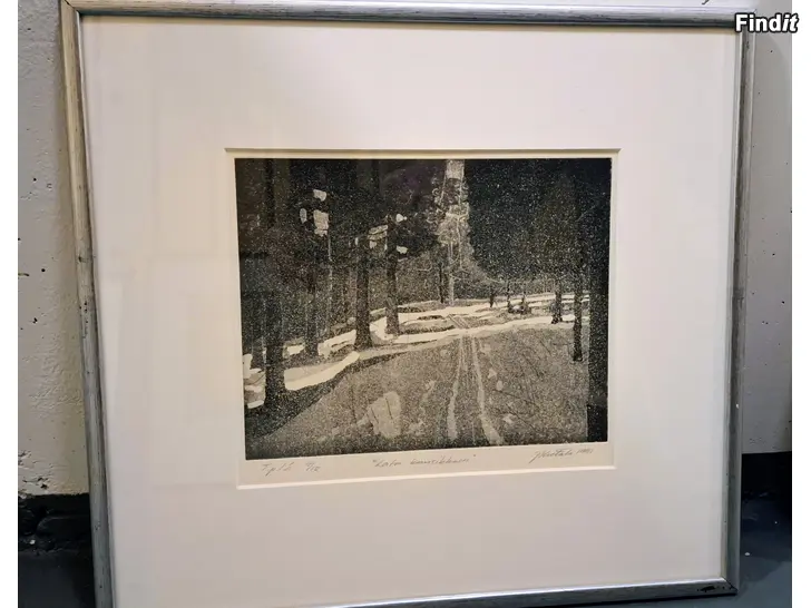 Säljes Grafik  Latu kuusikkoon