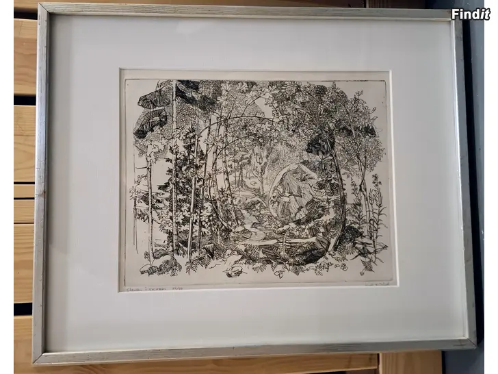 Säljes Tavla Stenar i skogen