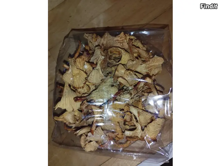 Myydään Kantarelli