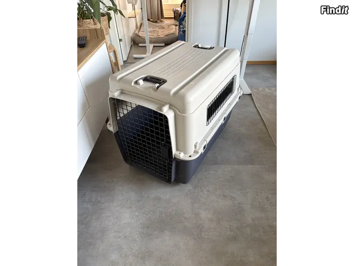 Myydään Transportbur för hund