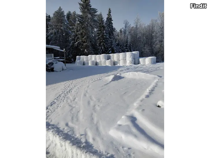 Myydään Säilörehupaaleja