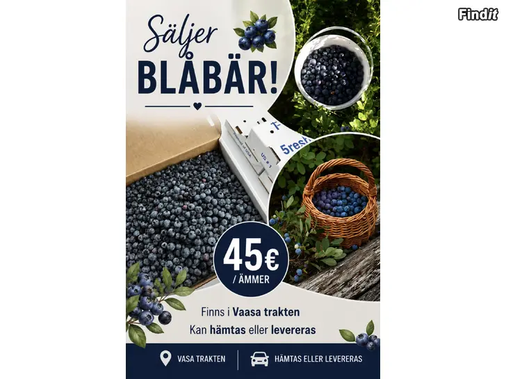Säljes Säljes blåbär