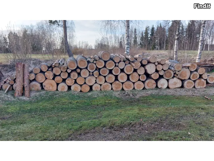 Säljes Tallved