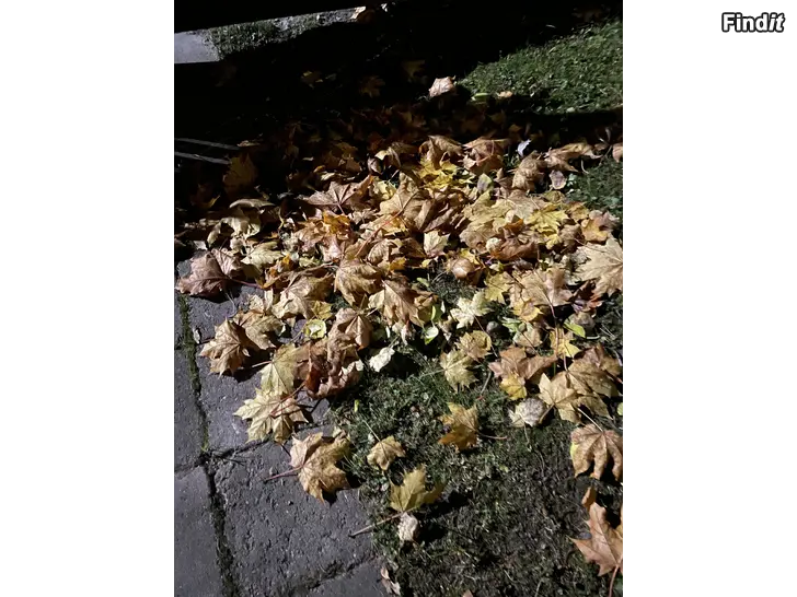 Säljes Löv