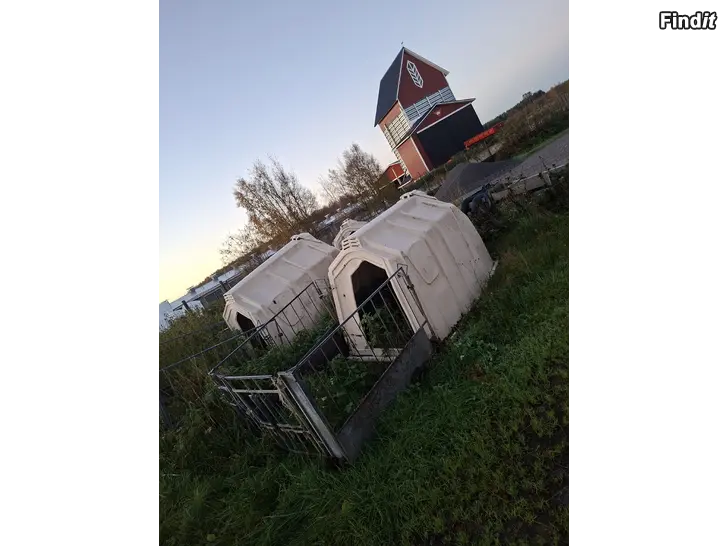 Säljes Kalv igloor