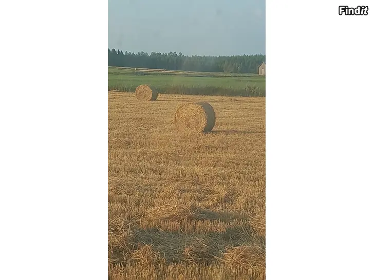 Säljes Ensilage och halm