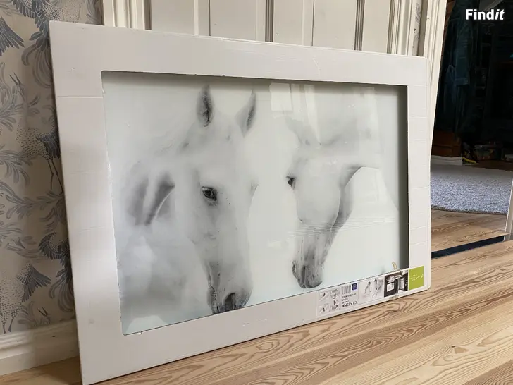 Säljes Hästtavla 70x100cm