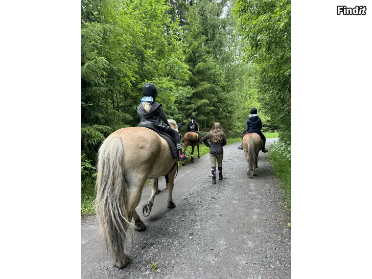 Säljes Ponnyklubb