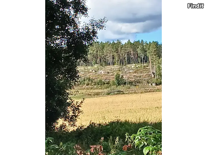 Uthyres Lantligt ifyll  inom mycket rimligt bilavstånd till Vasa