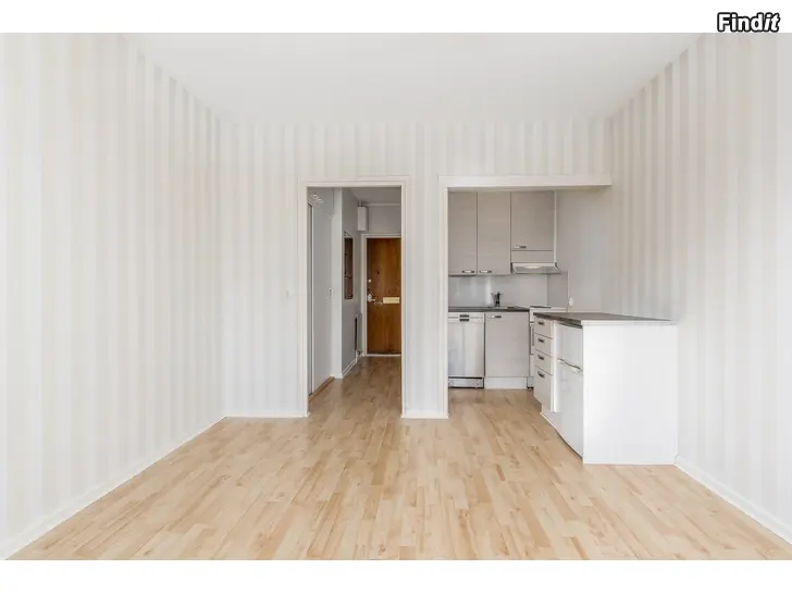 Uthyres Remontoitu yksiö Kirkkopuistikolla