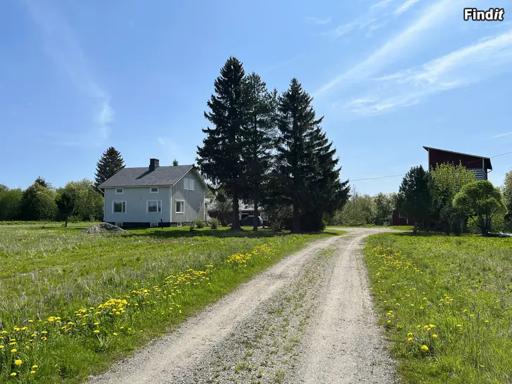 Säljes Fastighet med egnahemshus, uthus och spannmålstork