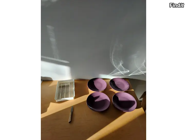 Myydään Lautaset matceramira aterialaatikko orthex pikkuveitsi