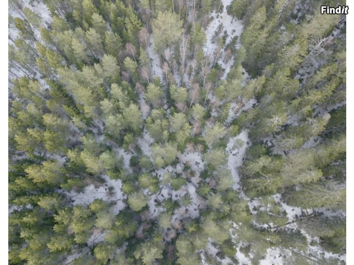 Myydään Palvelut suoritetaan droneilla