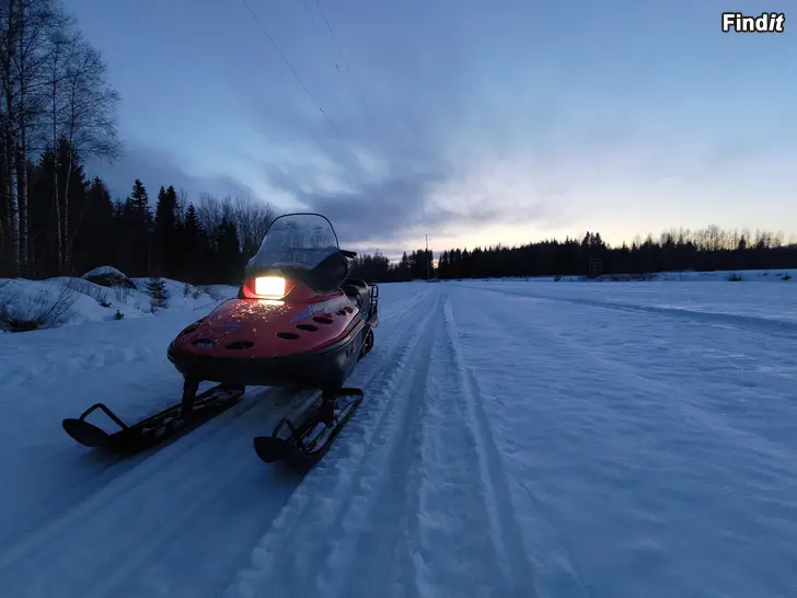 Säljes Lynx Forestfox 99