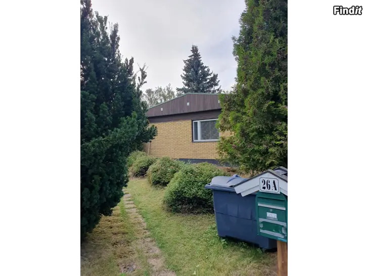 Vuokrataan Ihanalla pihalla talo kotirannalla 3h+ keittiö 74 neliöä Vuokrataan Ihanalla pihalla talo kotirannalla 3h+ keittiö 74 neliöä