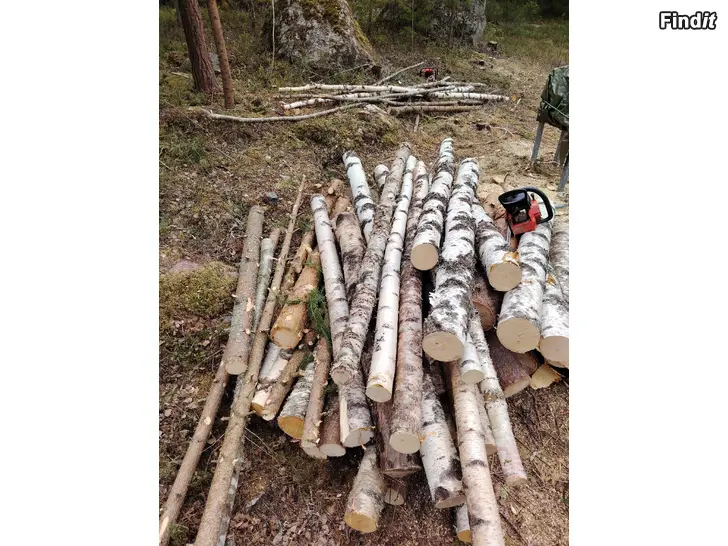 Myydään Tukkeja ja klapeja