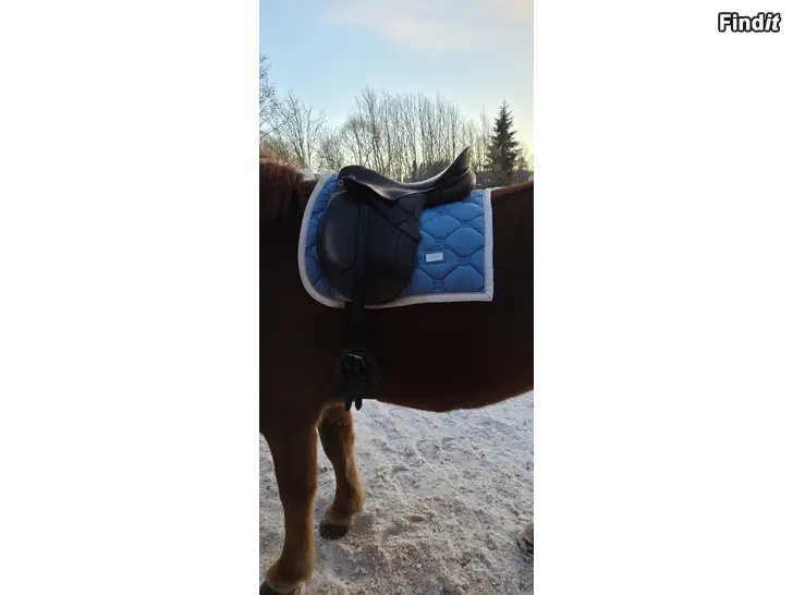 Säljes Kieffer Wien dressyrsadel