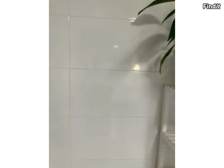 Bortges Kakelplattor 30x60cm