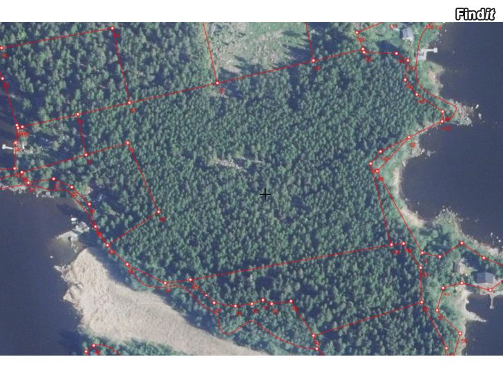 Säljes 4,330 ha skog på Norra Heplotan, Oxkangar, Vörå