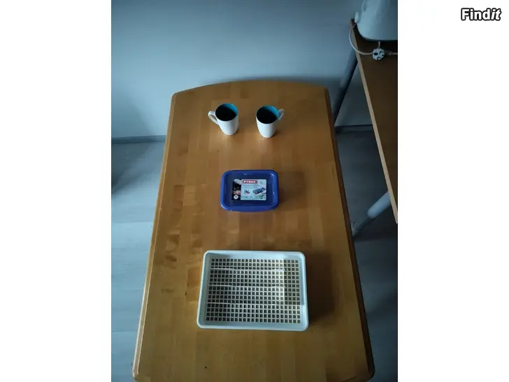 Myydään Säilytysrasia pyrex mukit aterialaatikko