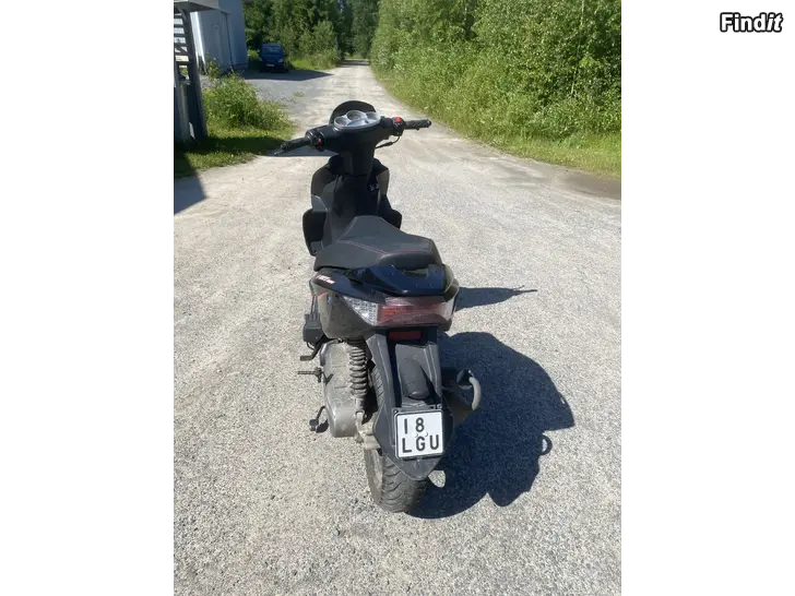 Säljes Fin skoba, otrimma