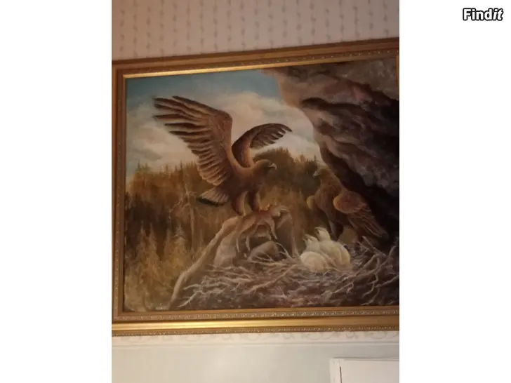 Myydään Iso kotkataulu