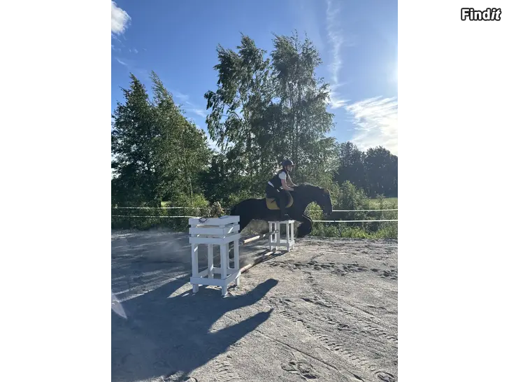 Säljes Ponnyskola