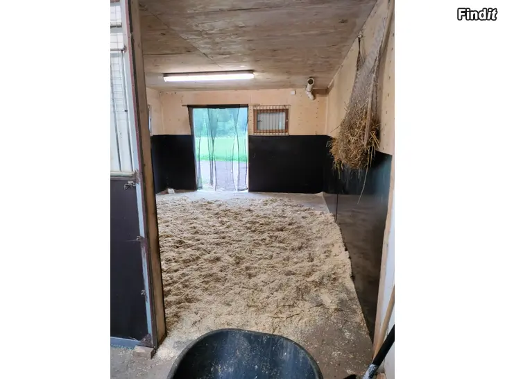 Uthyres Stallplats i lösdriftsstall