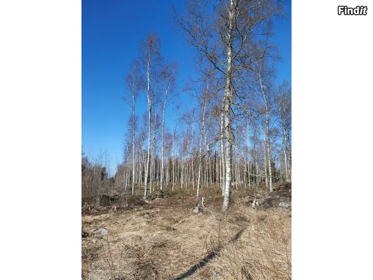 Myydään Skogsskifte på Bergö