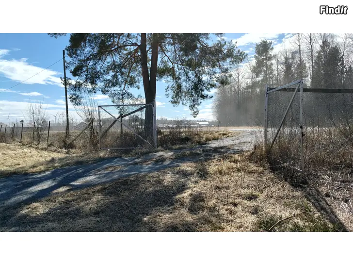 Annetaan Galler staket