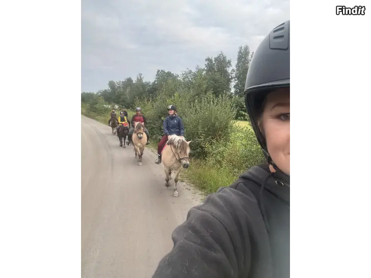Myydään Terrängtur för nybörjare