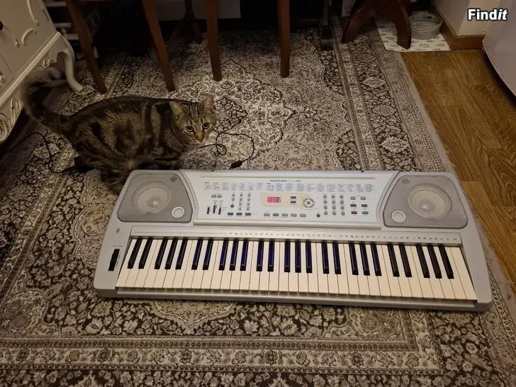 Myydään Suzuki SP-37 Keyboard Synth / Koskettimet