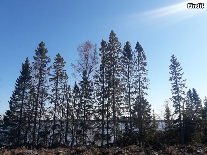 Myydään Villatomt med bilväg