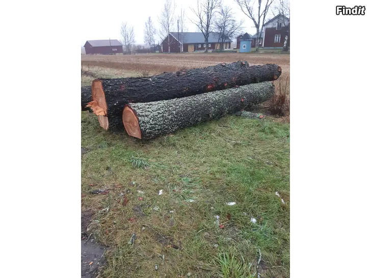 Säljes LÄRKTRÄD-LEHTIKUUSI