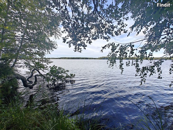 Säljes Skogsmark med byggrätt för fritidsboende i Närpes / Långövägen