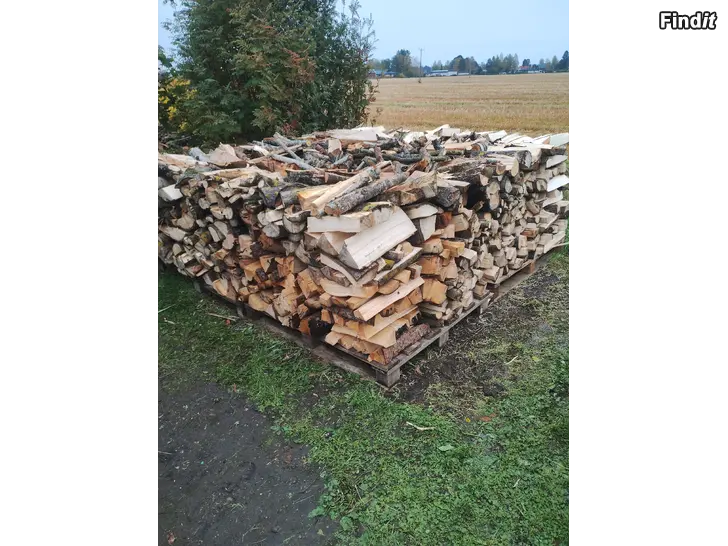 Säljes Tuoretta sekaklapia