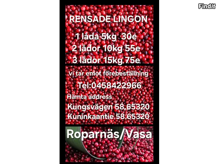 Säljes RENSADE LINGON