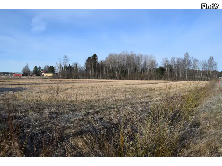 Säljes Åkermark 1,25 ha till salu i Petalax