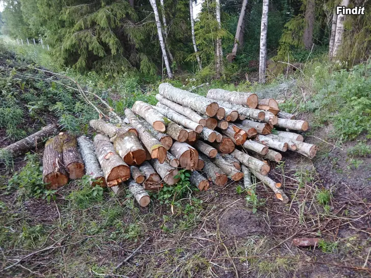 Myydään Asp ved