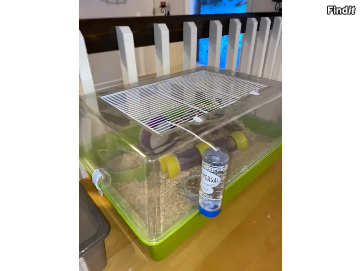 Säljes Min dotter säljer sin dvärghamster