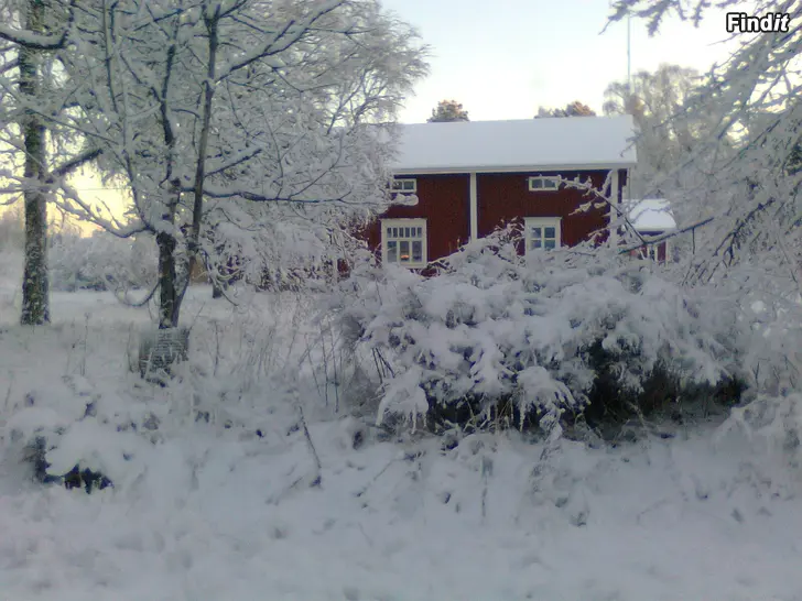 Säljes Äldre Bondgård med Ek.Byggnader, natur Tomt 1,23ha