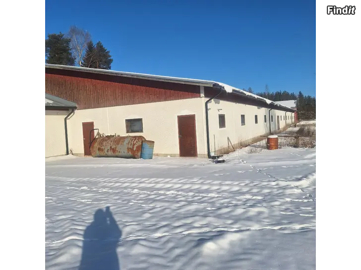 Myydään halli ja sikala